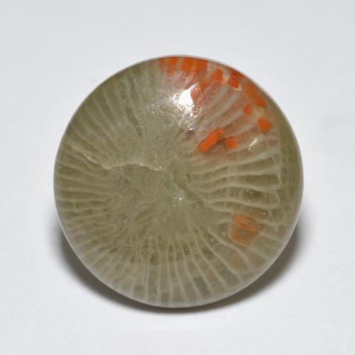 Corallo naturale multicolore da 5,10 ct, taglio rotondo, traslucido