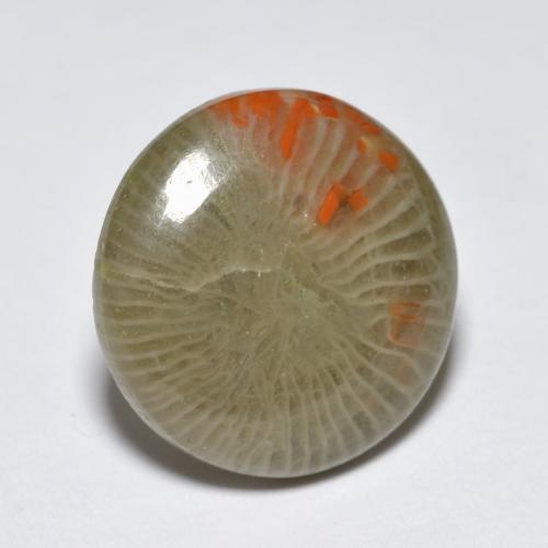 Corallo naturale multicolore da 5,10 ct, taglio rotondo, traslucido