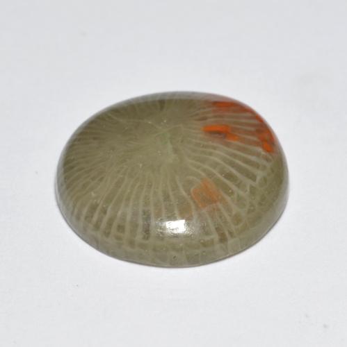 Corallo naturale multicolore da 5,10 ct, taglio rotondo, traslucido