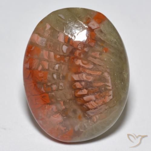 10.87ct Naturale Multicolore Corallo, Ovale, Traslucido