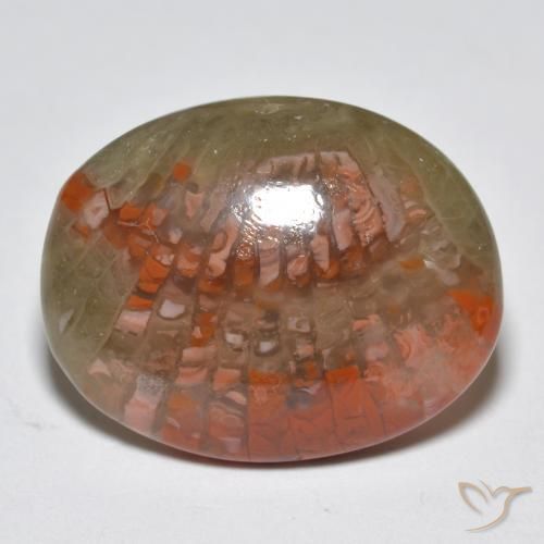Corallo Multicolore naturale da 10.87 ct, Ovale, Traslucido