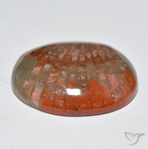 Corallo Multicolore naturale da 10.87 ct, Ovale, Traslucido