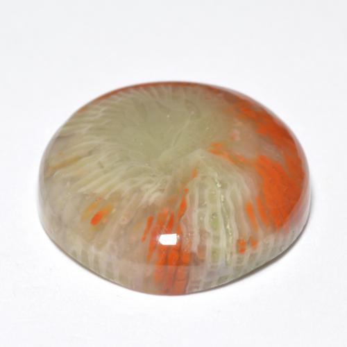 Corallo naturale multicolore da 10,03 ct, taglio rotondo, opaco