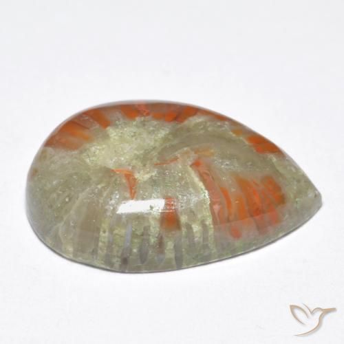 Corallo Multicolore naturale da 6.76 ct, Forma a pera, Opaco