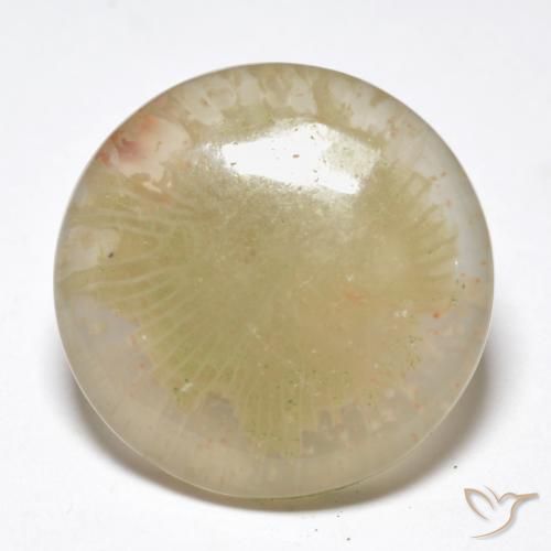 10.55ct Naturale Multicolore Corallo, Rotondo, Traslucido