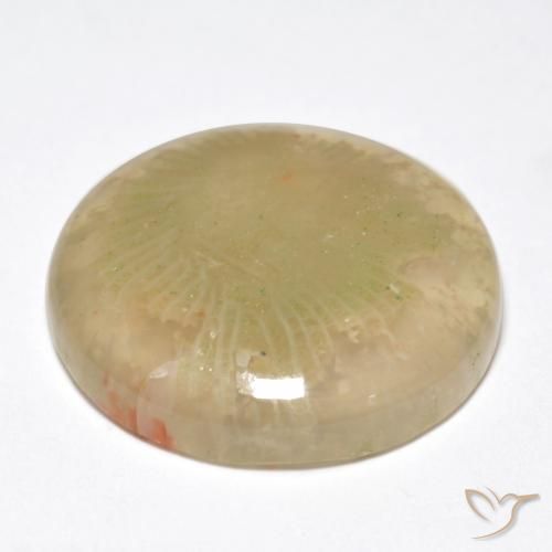 Corallo Multicolore naturale da 10.55 ct, Rotondo, Traslucido