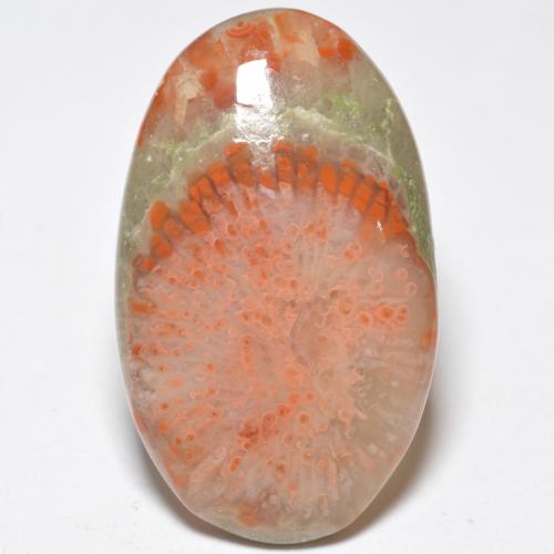 Corallo naturale multicolore da 11,38 ct, taglio ovale, traslucido