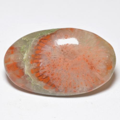 Corallo naturale multicolore da 11,38 ct, taglio ovale, traslucido