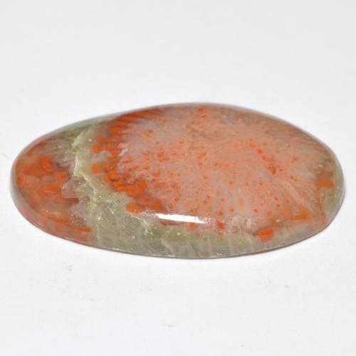 Corallo naturale multicolore da 11,38 ct, taglio ovale, traslucido