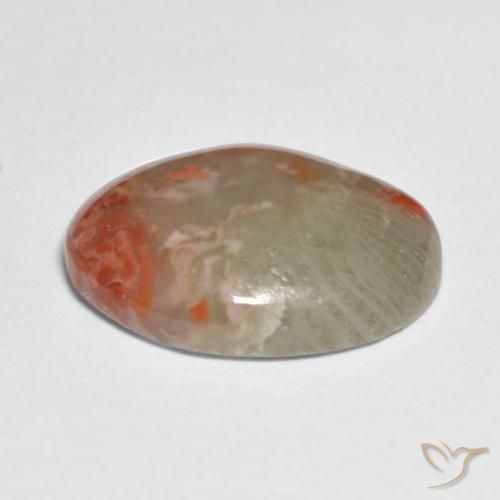 Corallo Multicolore naturale da 5.88 ct, Ovale, Traslucido