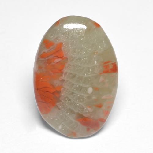 Corallo naturale multicolore da 5,03 ct, taglio ovale, traslucido