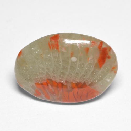 Corallo naturale multicolore da 5,03 ct, taglio ovale, traslucido