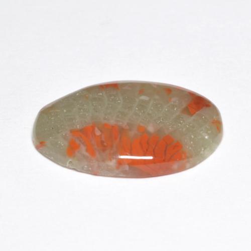 Corallo naturale multicolore da 5,03 ct, taglio ovale, traslucido