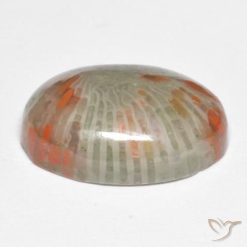 Corallo Multicolore naturale da 6.74 ct, Ovale, Opaco