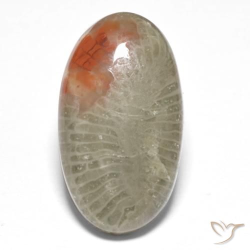 8.25ct Naturale Multicolore Corallo, Ovale, Traslucido