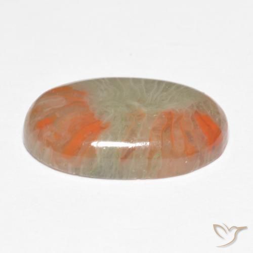 Corallo Multicolore naturale da 5.68 ct, Ovale, Traslucido