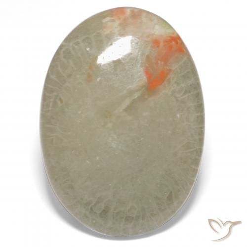 15.23ct Naturale Multicolore Corallo, Ovale, Traslucido
