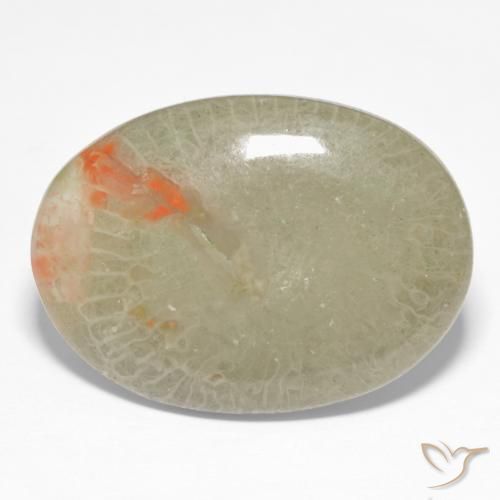 Corallo Multicolore naturale da 15.23 ct, Ovale, Traslucido