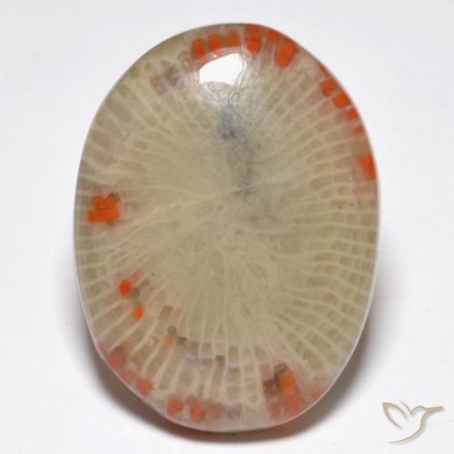 14.86ct Naturale Multicolore Corallo, Ovale, Traslucido