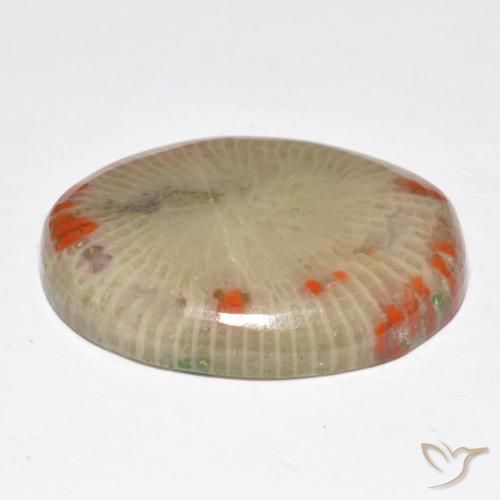 Corallo Multicolore naturale da 14.86 ct, Ovale, Traslucido