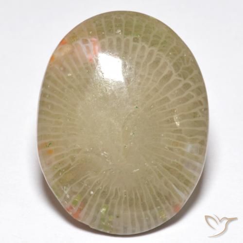 13.91ct Naturale Multicolore Corallo, Ovale, Traslucido