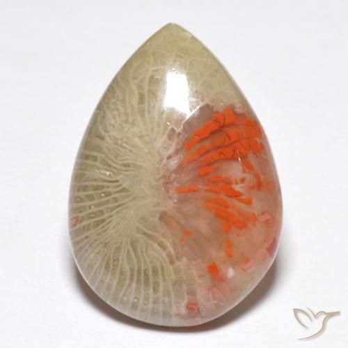 10.46ct Naturale Multicolore Corallo, Forma a pera, Traslucido