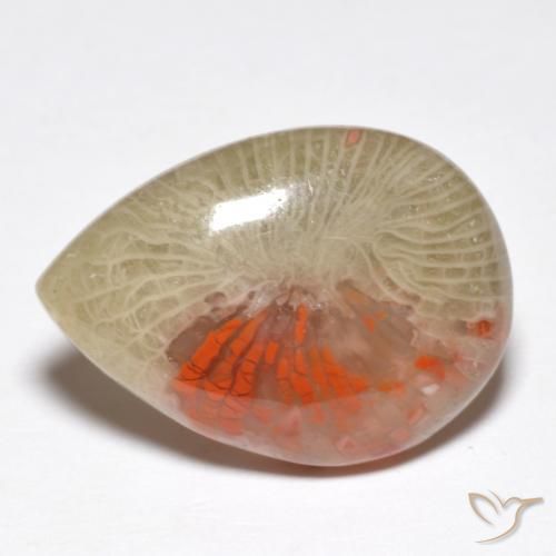 Corallo Multicolore naturale da 10.46 ct, Forma a pera, Traslucido