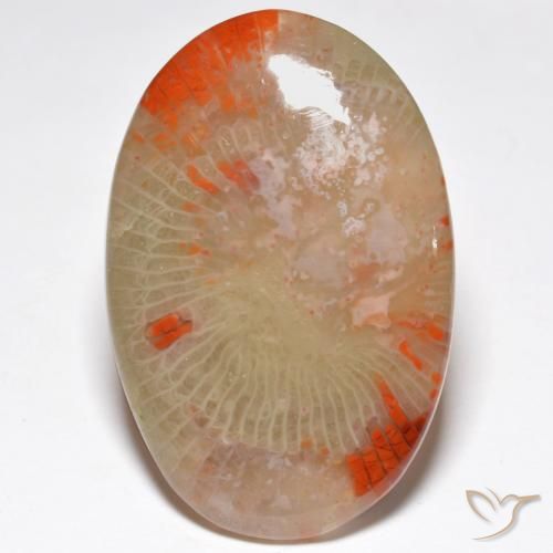 27.91ct Naturale Multicolore Corallo, Ovale, Traslucido