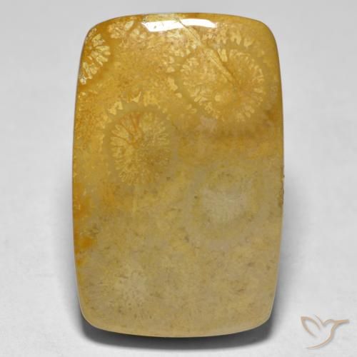 17.79ct Naturale Multicolore Corallo, Cuscino, Opaco