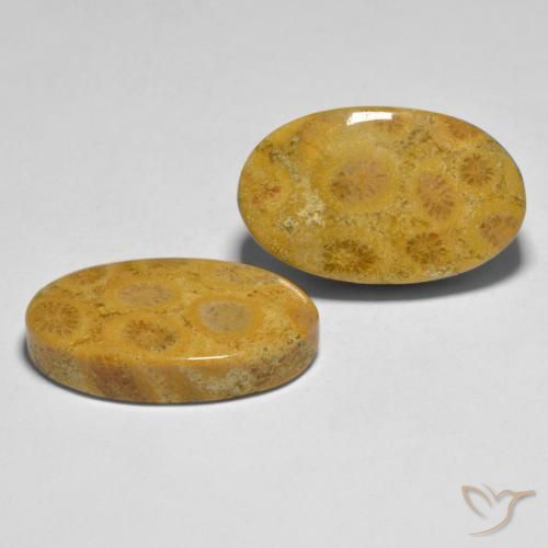 Gemme di Corallo Multicolore naturale da 27.44 ct, Ovale, Opaco
