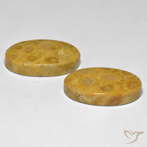 Gemme di Corallo Multicolore naturale da 27.44 ct, Ovale, Opaco