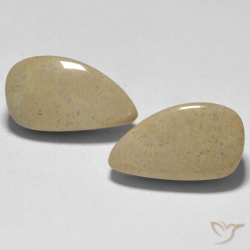 16.75ctw Naturale Multicolore Corallo, Taglio a fantasia, Opaco