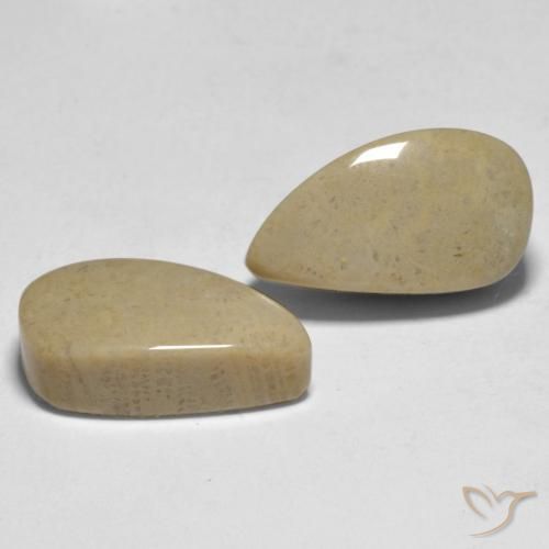Gemme di Corallo Multicolore naturale da 16.75 ct, Taglio a fantasia, Opaco