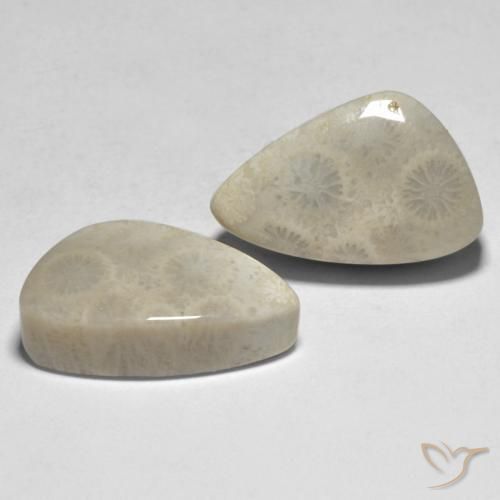 Gemme di Corallo Multicolore naturale da 21.04 ct, Taglio a fantasia, Opaco