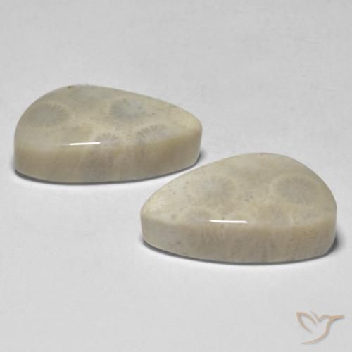 Gemme di Corallo Multicolore naturale da 21.04 ct, Taglio a fantasia, Opaco