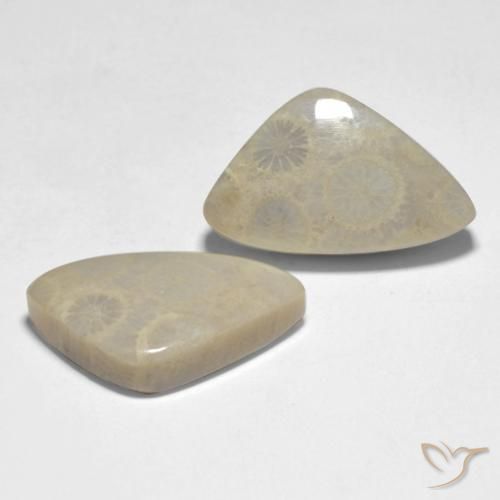 Gemme di Corallo Multicolore naturale da 19.10 ct, Taglio a fantasia, Opaco