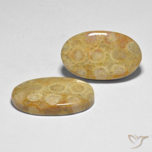 Gemme di Corallo Multicolore naturale da 28.98 ct, Ovale, Opaco