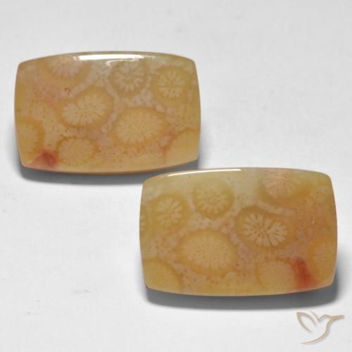 23.35ctw Naturale Multicolore Corallo, Cuscino, Traslucido