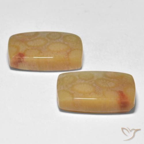 Gemme di Corallo Multicolore naturale da 23.35 ct, Cuscino, Traslucido