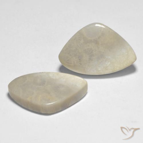 Gemme di Corallo Multicolore naturale da 23.71 ct, Taglio a fantasia, Opaco