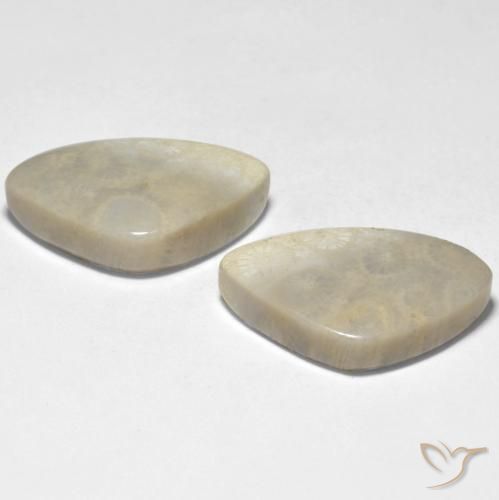 Gemme di Corallo Multicolore naturale da 23.71 ct, Taglio a fantasia, Opaco
