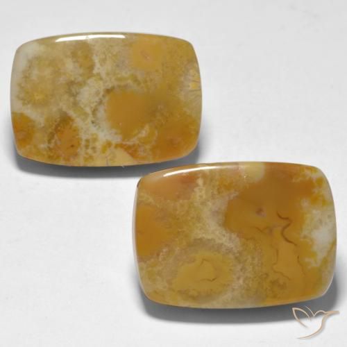 28.12ctw Naturale Multicolore Corallo, Cuscino, Opaco
