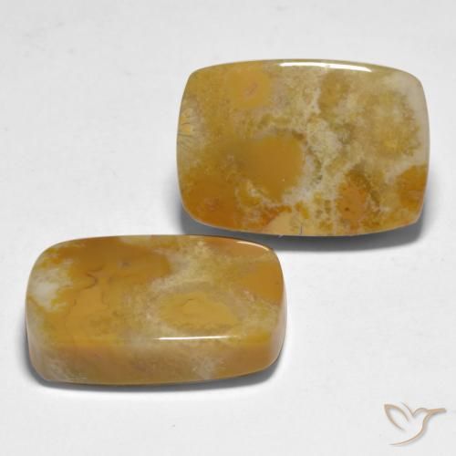 Gemme di Corallo Multicolore naturale da 28.12 ct, Cuscino, Opaco