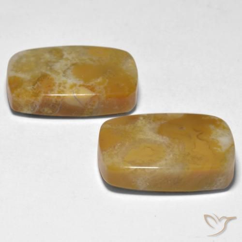 Gemme di Corallo Multicolore naturale da 28.12 ct, Cuscino, Opaco
