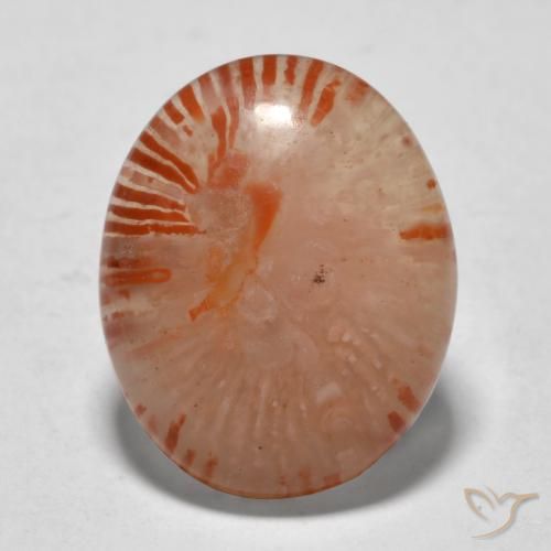 9.94ct Naturale Multicolore Corallo, Ovale, Traslucido