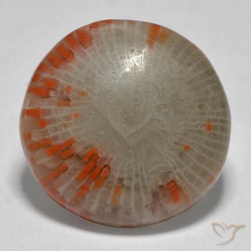 13.11ct Naturale Multicolore Corallo, Rotondo, Traslucido