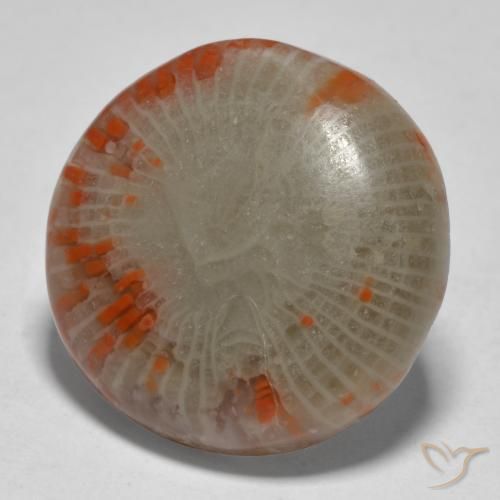 Corallo Multicolore naturale da 13.11 ct, Rotondo, Traslucido