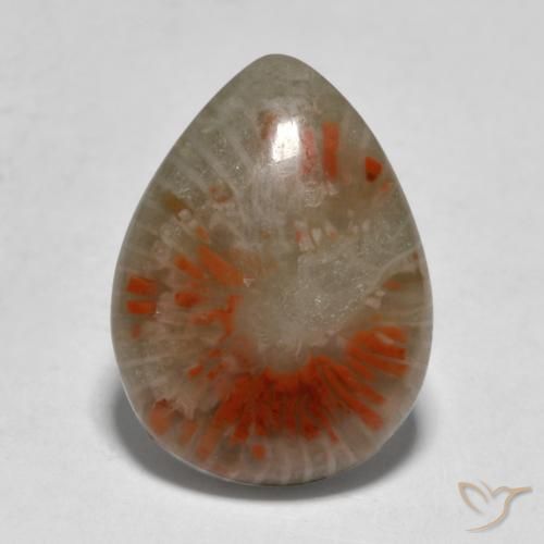 5.31ct Naturale Multicolore Corallo, Forma a pera, Traslucido, Photo A