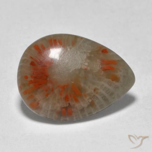Corallo Multicolore naturale da 5.31 ct, Forma a pera, Traslucido
