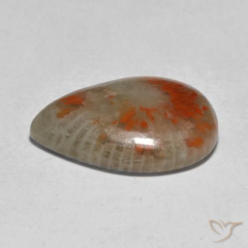 Corallo Multicolore naturale da 5.31 ct, Forma a pera, Traslucido